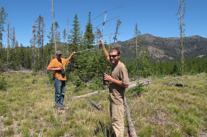 lab member using equipment in the field