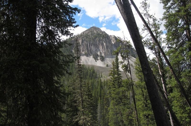 snowy mountain in the distance