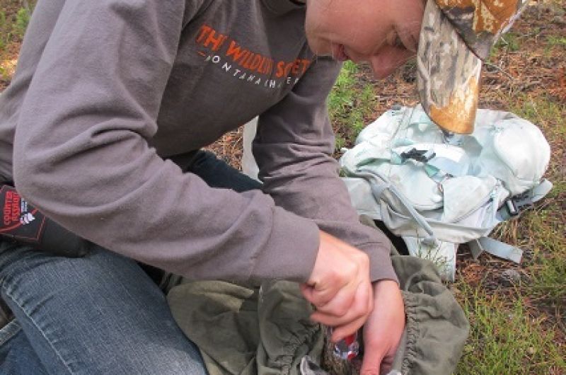 lab member working on a hare