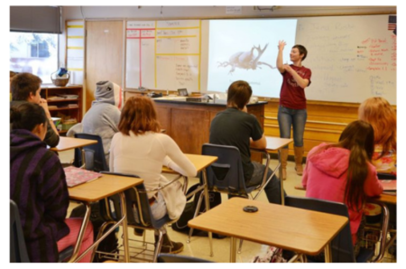 Wildlife biology role model presents on beetles in a high school classroom.