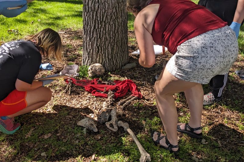 Two students crouch down to get a better look at the "mock remains" on the ground outside