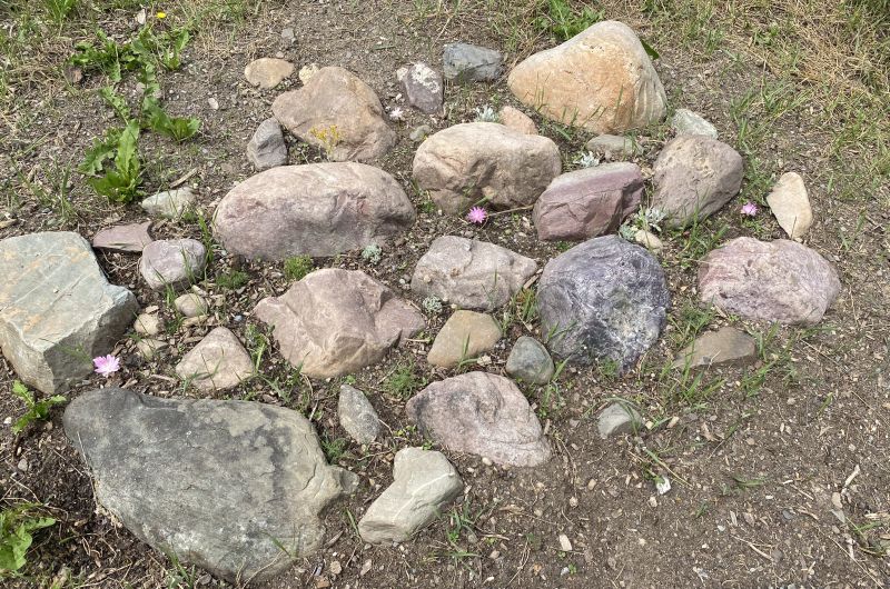 rock garden