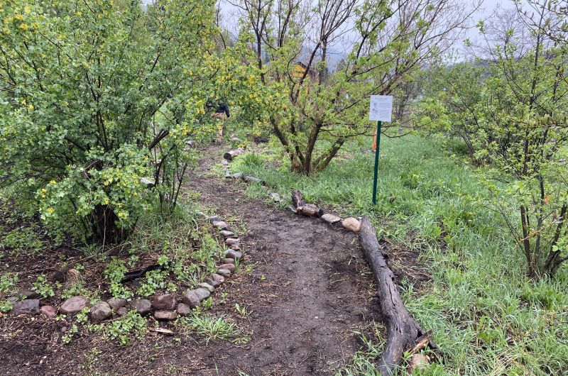 Garden pathway and Red Osier Dogwood sign