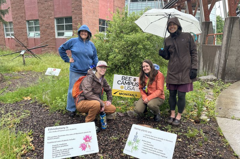 four people pose in front of a Bee Campus USA sign in the rain in by the PNAC