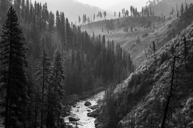 black and white photo of evergreen trees on hills leading down to river