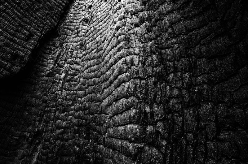 black and white photo of burnt shale cliffside