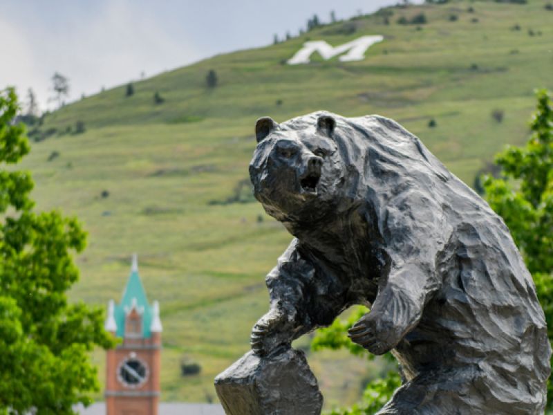 the Grizzly Bear Statue