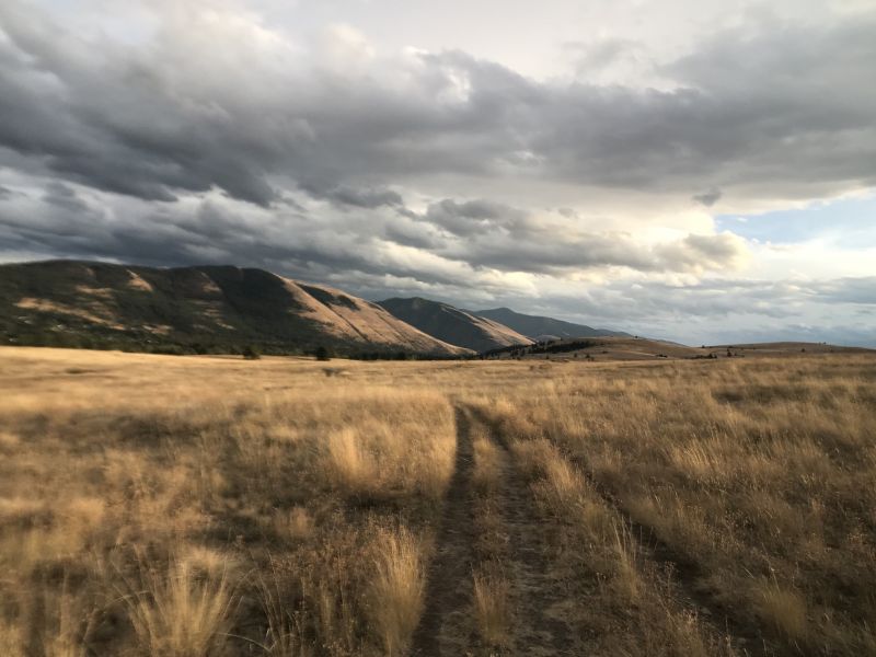 Open field with mountains in the background