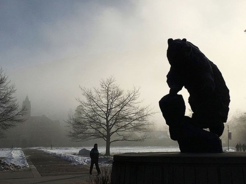 Griz statue in fog