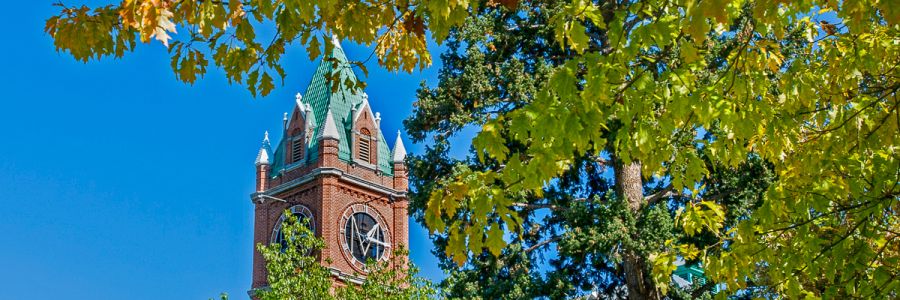 closeup view of the University Hall clocktower seen through leaves