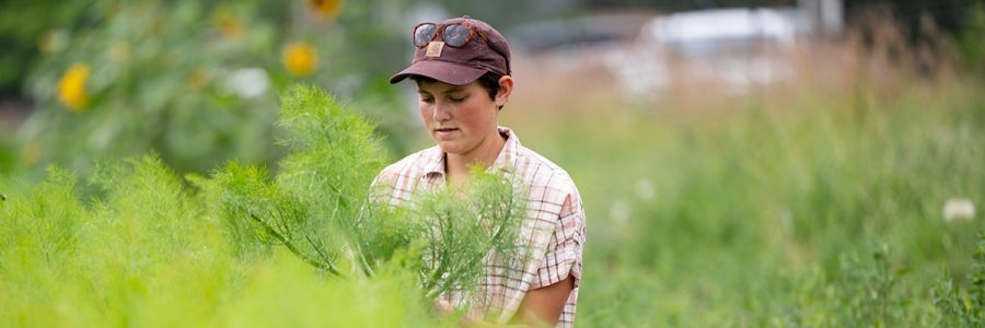 student working in a garden