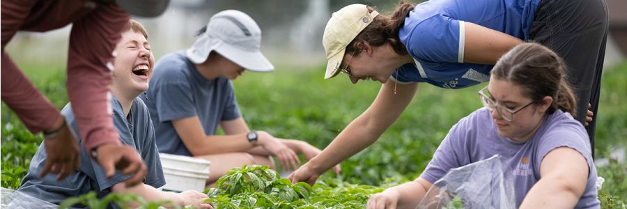 group of people smiling and laughing while they pick vegetables in a field full of plants