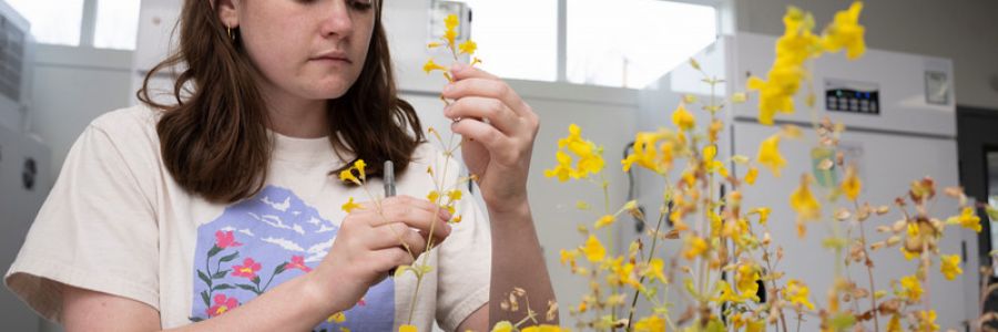 student closely examining a plant with a tray full of more in front of them