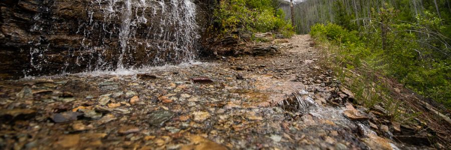 rocky trail with water coming down a cliff and across the trail