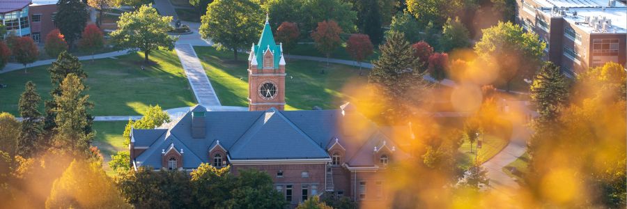 clock tower and university hall seen from behind and above