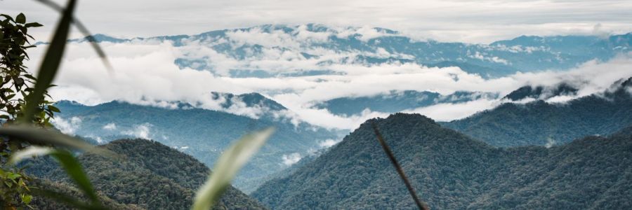 Tandayapa Cloud Forest Station (TCS)