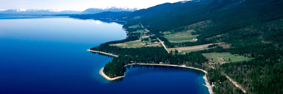 pine tree covered shoreline of flathead lake seen from above