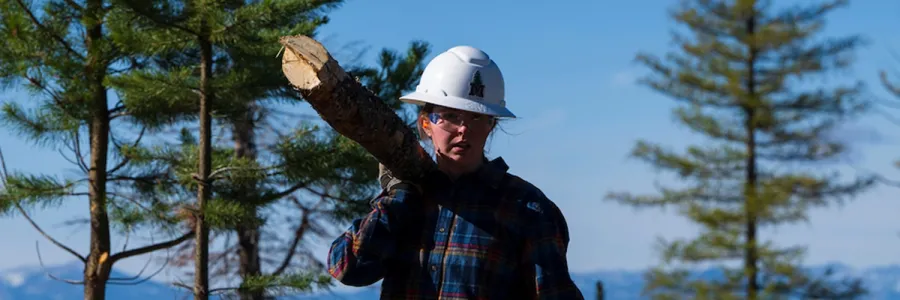 A forestry student carries a log through the forest