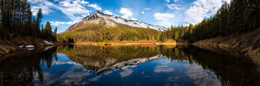 snowy mountain and pine trees reflected in a still pond