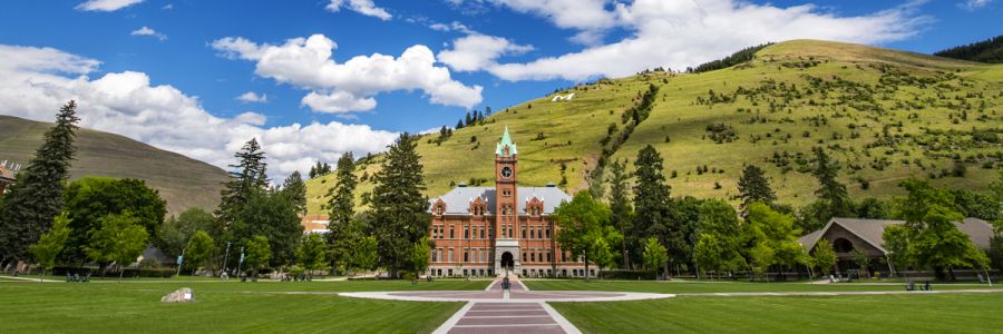University Hall and the M trail on a sunny day from the Oval