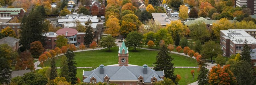 view of the Oval from above and behind University Hall with autumn colored trees