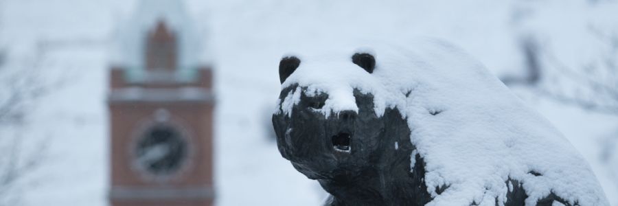 the head of the UM Grizzly sculpture covered in snow with the clock from University Hall in the background