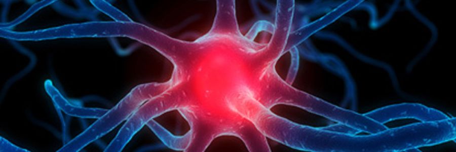 illustration of a many tendralled cell with center glowing red