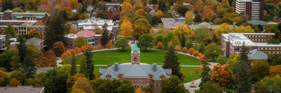 the oval seen from behind and above University Hall 