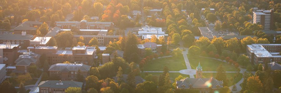 University Hall, the Oval and surrounding building from above on a sunny morning