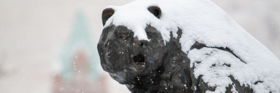 head of the UM grizzly statue covered in snow