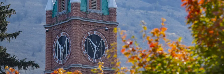 close up of the University Hall clocktower seen through the leaves of a tree