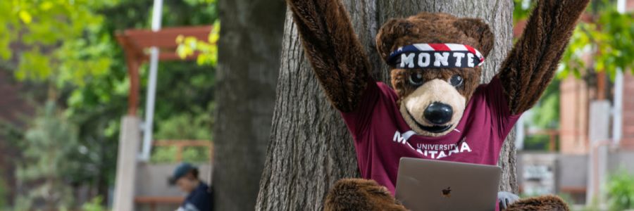 UM mascot Monte celebrating while working on a laptop outside on the grass