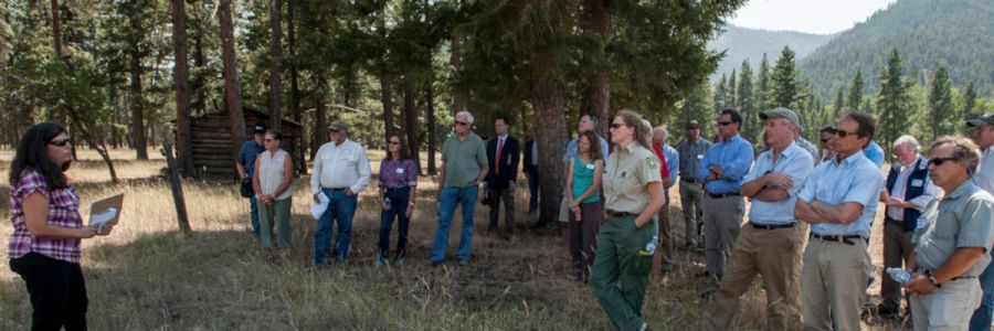 group of people listening to a presentation while standing in a opening of a mountain forest