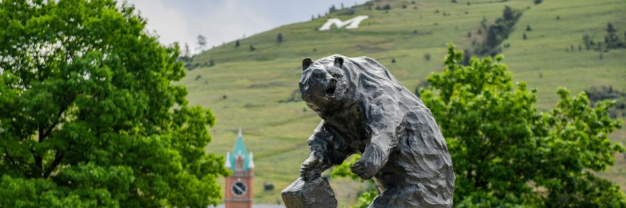 the UM grizzly statue on the oval on an overcast day with University Hall and the M trail in the background