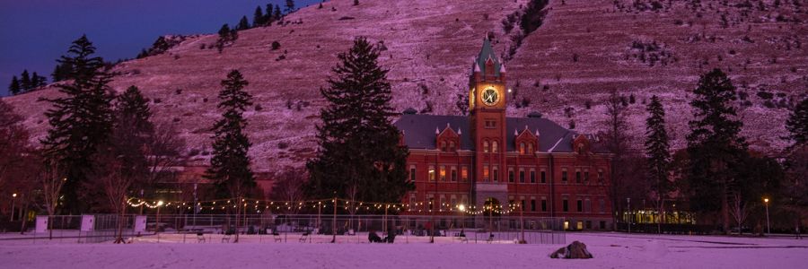 the temporary ice rink set up on the oval with the University Hall clock tower light up at night