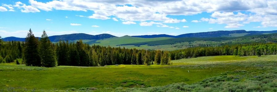 green grassland and rolling hills under a blue, sunny sky