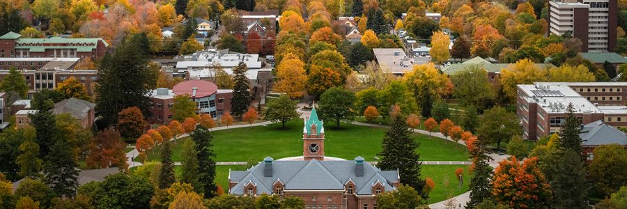 Oval and University Hall seen from above with fall colored trees