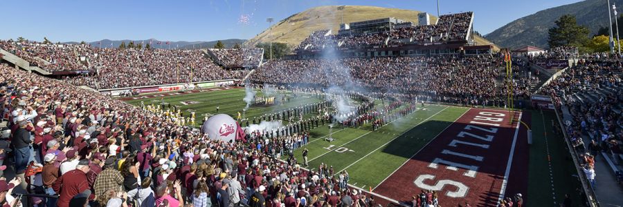 Washington-Grizzly stadium full of fans during game day