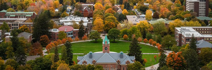 The Oval at UM surrounded by trees displaying their fall foliage