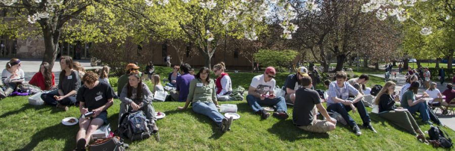 group of students sitting on a hill on the UM campus