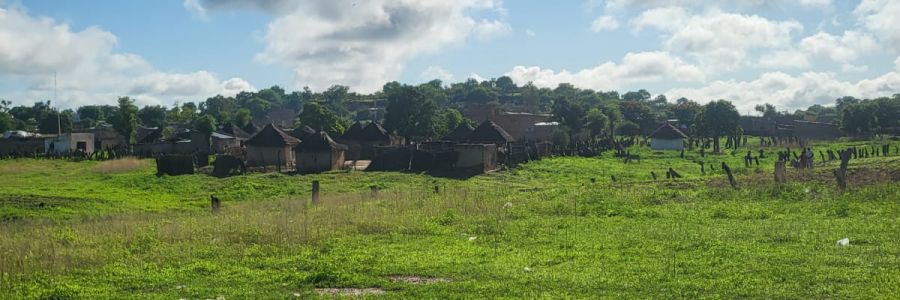 rural village with thatched huts in a green field and forest