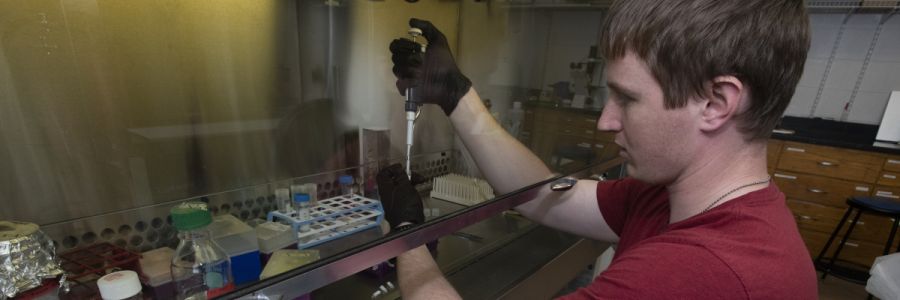 student using a pipette in a laboratory surrounded by other lab equipment