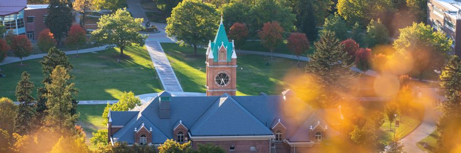 University Hall and clock tower seen from above and behind with the oval in the background