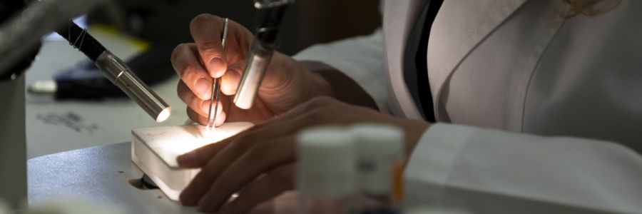 close up of hands working at a microscope with two focused lights