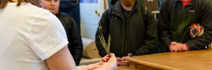 person in the foreground holding up a small plant while people in the background listen