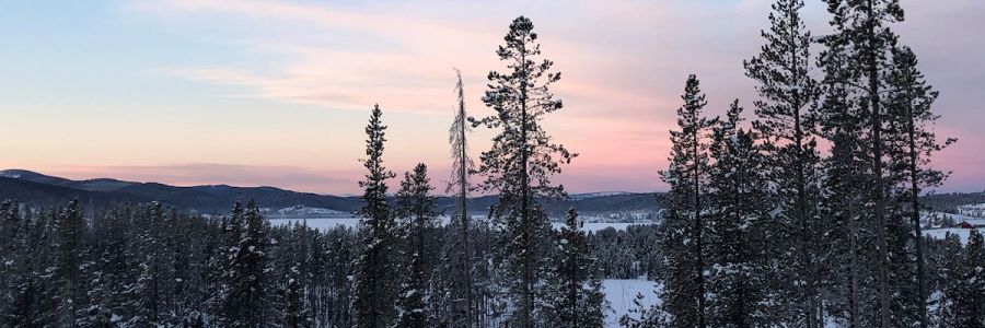 snowy pine trees in the foreground with mountain valley in the background