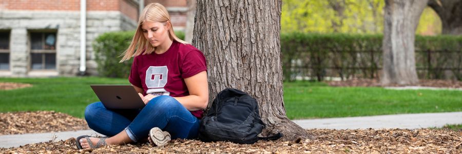 student working on a laptop sitting outside leaning against a tree