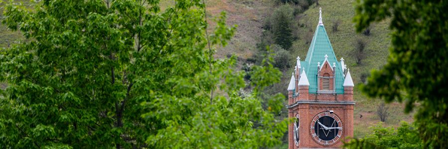 University Hall clock tower seen through green leafed trees