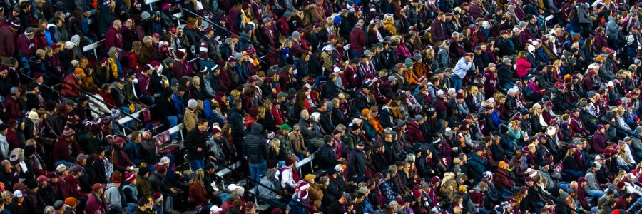rows of full seats in Washington-Grizzly stadium 