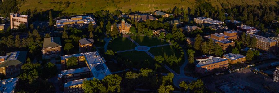 the oval, University Hall and more of the UM campus seen from above
